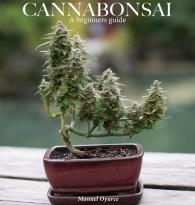 Manuel Oyarce: Cannabonsai