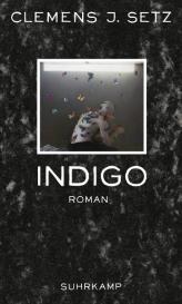 Clemens J. Setz: Indigo