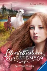 Gina Mayer: Pferdeflüsterer-Academy, Band 6 - Calypsos Fohlen