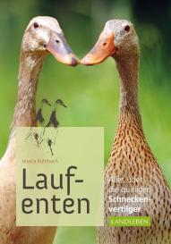 Jessica Rohrbach: Laufenten