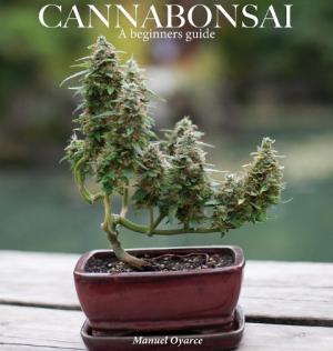 Manuel Oyarce: Cannabonsai 