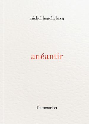Michel Houellebecq: anéantir 