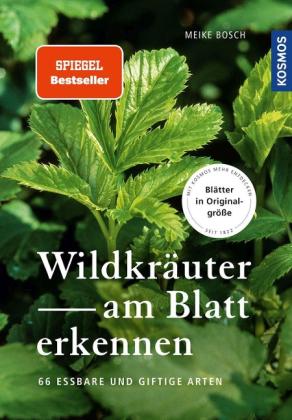Meike Bosch: Wildkräuter am Blatt erkennen 
