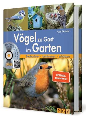 Axel Gutjahr: Vögel zu Gast im Garten 
