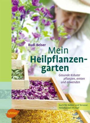 Rudi Beiser: Mein Heilpflanzengarten 