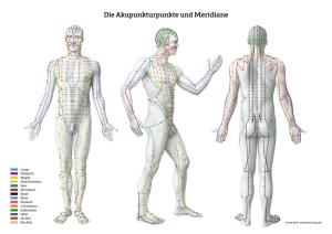 Lernposter - Die Akupunkturpunkte und Meridiane 