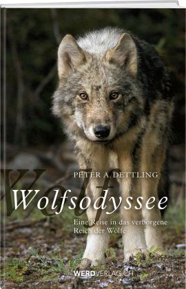 Peter A. Dettling: Wolfsodyssee 