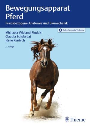 Jörne Rentsch, Claudia Schebsdat, Michaela Wieland: Bewegungsapparat Pferd 