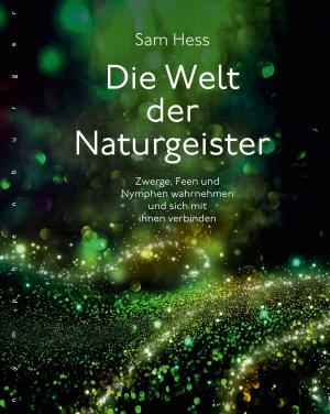 Sam Hess, Erwin Matczik: Die Welt der Naturgeister 