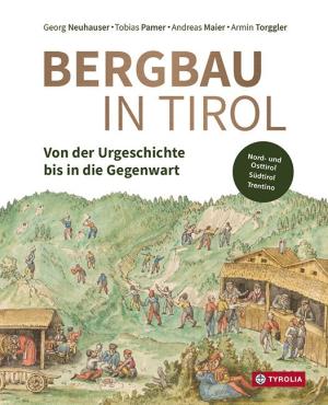 Andreas Maier, Georg Neuhauser, Tobias Pamer, Armin Torggler: Bergbau in Tirol 