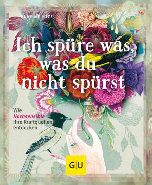 Anne Heintze: Ich spüre was, was du nicht spürst 
