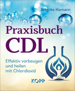 Brigitte Hamann: Praxisbuch CDL 