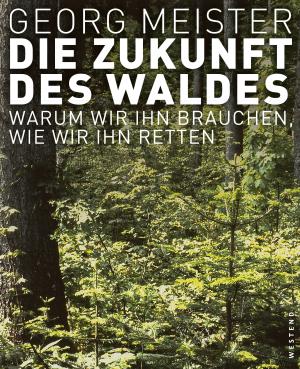 Georg Meister: Die Zukunft des Waldes 