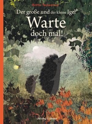 Britta Teckentrup: Der große und der kleine Igel / Warte doch mal! 