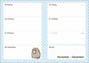 Heye: Pusheen 17-Monats-Kalenderbuch A5 2024/2025 