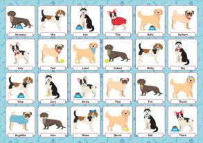 Wer bin ich? Tiere 