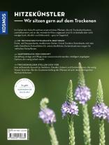 Simone Kern: Trockenhelden 
