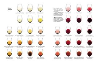 Justin Hammack, Madeline Puckette: Der Master-Wein-Guide 