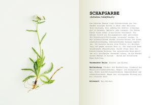 Leoniek Bontje, Yvet Noordermeer: Wildpflanzen essen 