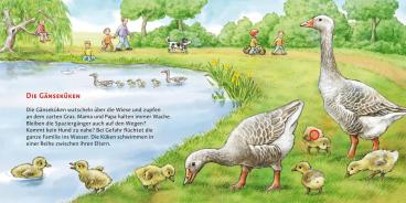 Anne Möller: Hör mal (Soundbuch): Die Tierkinder 
