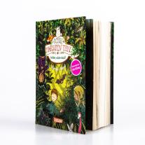 Margit Auer, Nina Dulleck: Die Schule der magischen Tiere Erstausstattung 11: Wilder, wilder Wald! 