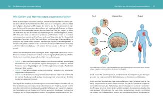 Eric Cobb, Eric Dr. Cobb, Lars Lienhard, Ulla Schmid-Fetzer: Neuronale Heilung 