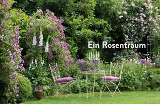 Klaus Bender, Manfred Lucenz: Verrückt nach Garten. Ideen und Erfahrungen kreativer Gärtner 