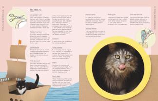 Carin Oliver: Katzenkisten 