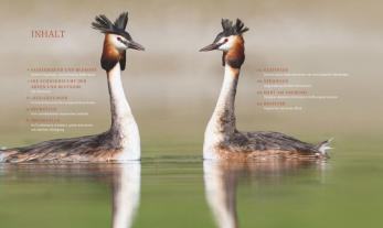 Konrad Wothe, Peter Berthold, Peter Prof. Dr. Berthold: Unsere einzigartige Vogelwelt 