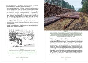 Lutz Fähser, Siegfried Klaus, Hans Dieter Knapp: Der Holzweg 