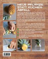 Eliana Ferioli: Regrowing – Neue Triebe aus Obst- und Gemüseresten 