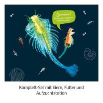 Urzeit-Krebse 