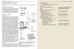 Gaby Keller, Rudolf Winkler, Margrith Montalta-Graf: Pilze Mitteleuropas 