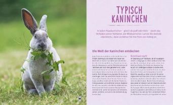 Monika Wegler: Kaninchen im Außengehege 