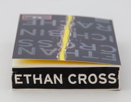 Dietmar Schmidt, Ethan Cross: Ich bin die Rache 