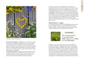 Theresa Ester: Nature Guide Wildpflanzen 