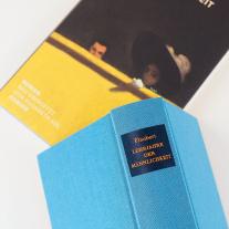 Gustave Flaubert, Elisabeth Edl: Lehrjahre der Männlichkeit 