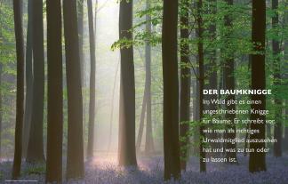 Peter Wohlleben: Das geheime Leben der Bäume 