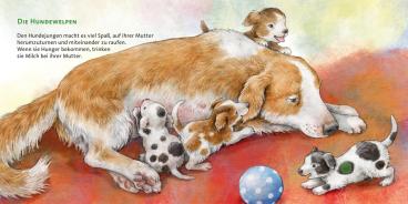 Anne Möller: Hör mal (Soundbuch): Die Tierkinder 