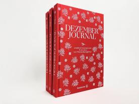 Theresa Baumgärtner: Dezember Journal 