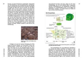 Erwin Thoma: Strategien der Natur 