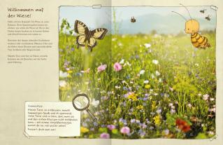 Maite Kelly, Britta Sabbag, Joëlle Tourlonias: Die kleine Hummel Bommel entdeckt die Wiese 