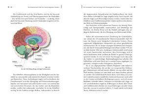 Gerlinde Debus, Meike Dr. med. Scheuplein, Meike Dr. med. Scheuplein, Gerlinde Prof. Dr. med. Debus, Gerlinde Prof. Dr. med. Debus, Meike Scheuplein: NeuroIntegrative Medizin: Durch körpereigene Intelligenz die Selbstheilungskräfte aktivieren 