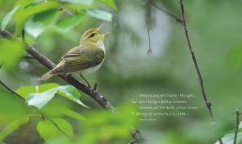 Konrad Wothe, Peter Berthold, Peter Prof. Dr. Berthold: Unsere einzigartige Vogelwelt 