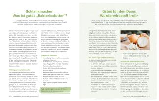 Viola Andresen, Viola Dr. med. Andresen, Jörn Dr. med. Klasen, Matthias Dr. med. Riedl, Silja Dr. med. Schäfer, Jörn Klasen, Matthias Riedl, Silja Schäfer: Die Ernährungs-Docs – Gesund abnehmen mit der Darm-fit-Formel 