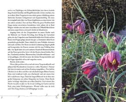 Meike Winnemuth: Bin im Garten 