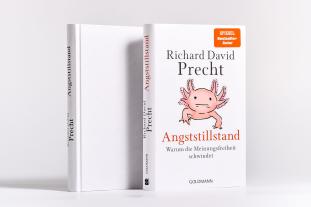 Richard David Precht: Angststillstand 