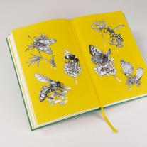 Dave Goulson, Nils Hoff: Wildlife Gardening 