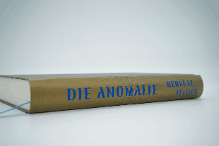 Hervé Le Tellier: Die Anomalie 