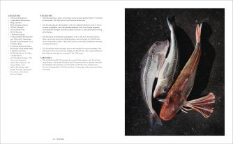 Johannes King: King kocht 